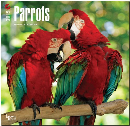 Parrots 18-Month 2015 Calendar von BrownTrout
