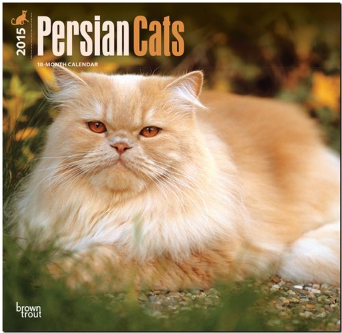 Persian Cats 18-Month 2015 Calendar von Browntrout Pub