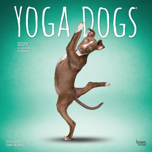 Yoga Dogs Official 2025 12 X 24 Inch Monthly Square Wall Calendar Plastic-Free Yoga Dogs Official 2025 12 X 24 Inch Monthly Square Wall Calendar Plastic-Free von BrownTrout