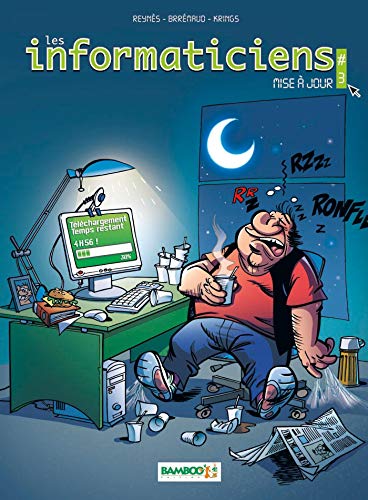 Les Informaticiens - tome 03: Mise à jour