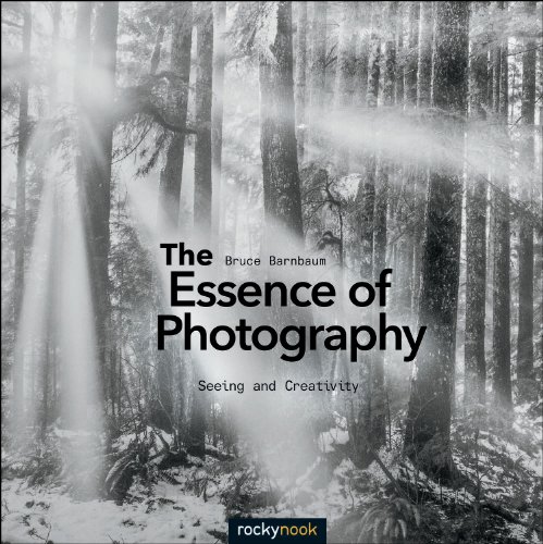 The Essence of Photography: Seeing and Creativity von Rocky Nook