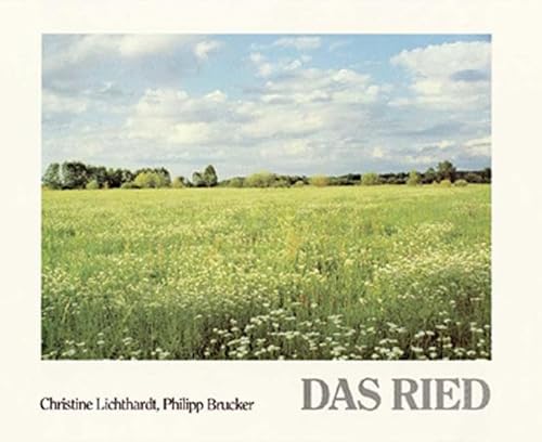 Das Ried: Landschaft zwischen Schwarzwald und Rhein von Silberburg