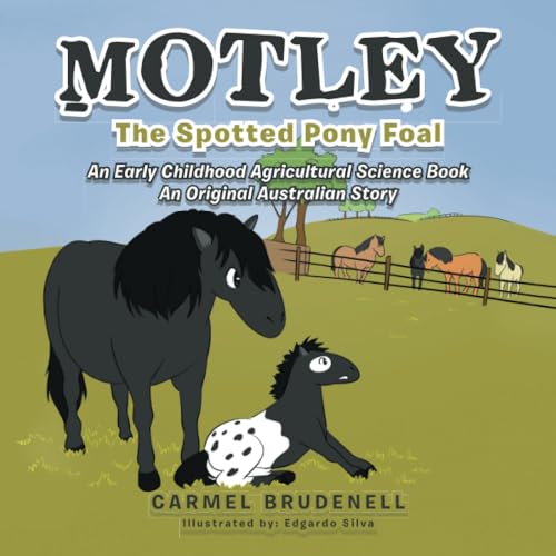 MOTLEY: The Spotted Pony Foal von Xlibris AU