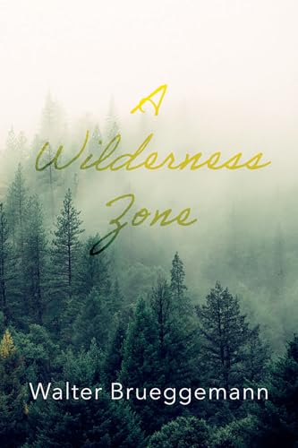 A Wilderness Zone von Cascade Books