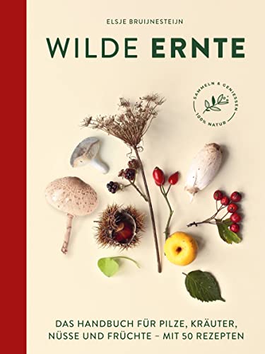 Wilde Ernte: Das Handbuch für Pilze, Kräuter, Nüsse und Früchte mit 50 Rezepten von Suedwest Verlag