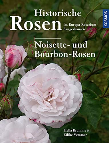 Historische Rosen im Europa Rosarium Sangerhausen: Noisette- und Bourbon-Rosen von Kosmos