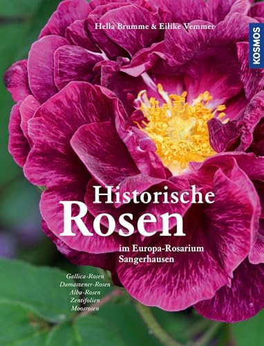 Historische Rosen Band 1: im Europa-Rosarium Sangerhausen von Kosmos