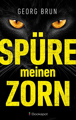 Spüre meinen Zorn (EDITION 211: Krimi, Thriller, All-Age) von Bookspot Verlag