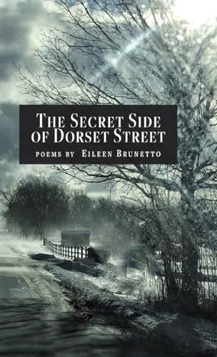 The Secret Side of Dorset Street von Finishing Line Press