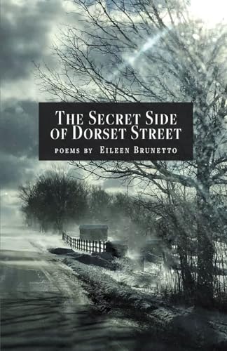 The Secret Side of Dorset Street von Finishing Line Press