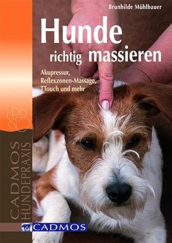 Hunde richtig massieren: Akupressur, Reflexzonen-Massage, TTOUCH und mehr (Cadmos Hundepraxis) von Cadmos Verlag GmbH