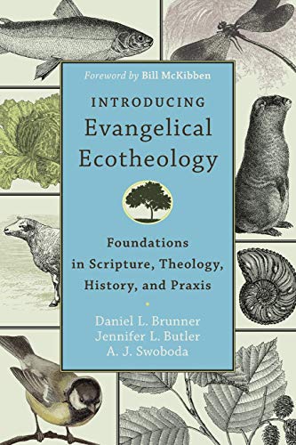 Introducing Evangelical Ecotheology: Foundations in Scripture, Theology, History, and PRAXIS