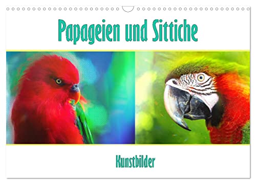 Papageien und Sittiche - Kunstbilder (Wandkalender 2024 DIN A3 quer), CALVENDO Monatskalender