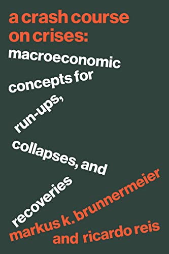 A Crash Course on Crises: Macroeconomic Concepts for Run-Ups, Collapses, and Recoveries von Princeton Univers. Press
