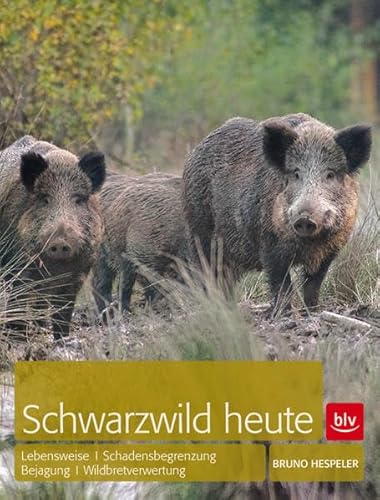 Schwarzwild heute: Lebensweise · Bejagung · Schadensbegrenzung · Wildbretverwertung