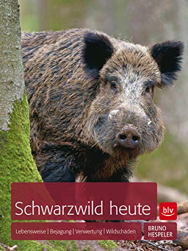 Schwarzwild heute: Lebensweise Bejagung Verwertung Wildschäden (BLV Jagdpraxis)