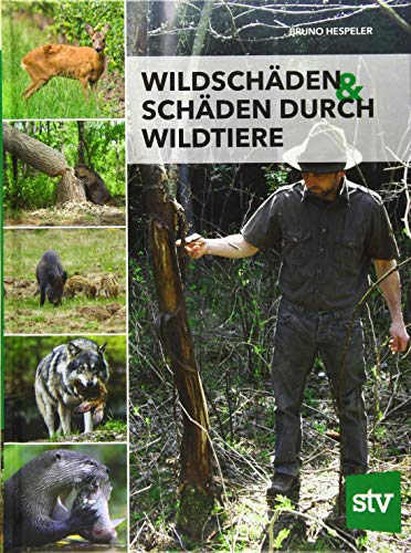 Wildschäden & Schäden durch Wildtiere von Stocker