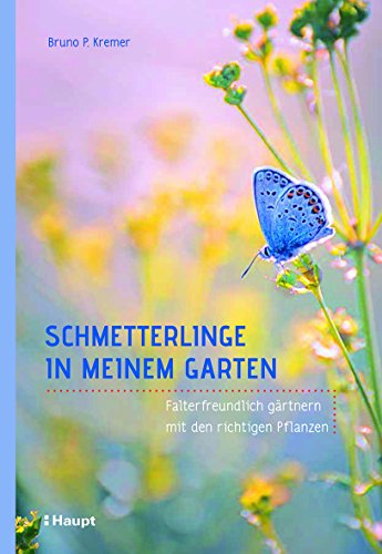 Schmetterlinge in meinem Garten: Falterfreundlich gärtnern mit den richtigen Pflanzen von Haupt Verlag AG
