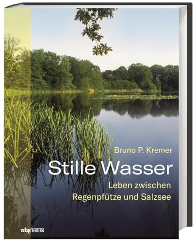 Stille Wasser: Leben zwischen Regenpfütze und Salzsee