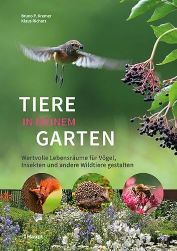 Tiere in meinem Garten: Wertvolle Lebensräume für Vögel, Insekten und andere Wildtiere gestalten