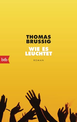Wie es leuchtet: Roman