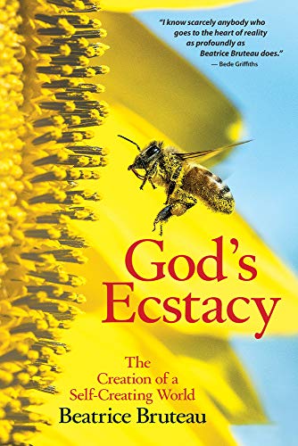 God's Ecstasy: The Creation of a Self-Creating World von Crossroad Publishing Company