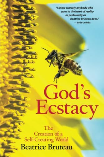 God's Ecstasy: The Creation of a Self-Creating World von Crossroad Publishing Company