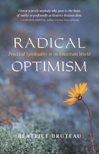 Radical Optimism: Practical Spirituality in an Uncertain World von Sentient Publications