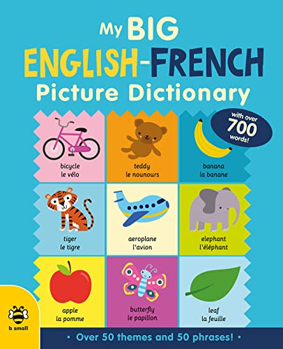 My Big English-French Picture Dictionary (Big Picture Dictionaries) von b small