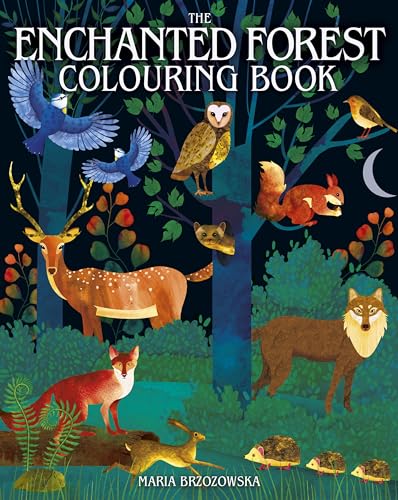 The Enchanted Forest Colouring Book (Arcturus Creative Colouring) von Arcturus