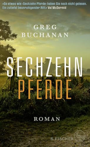 Sechzehn Pferde: Roman