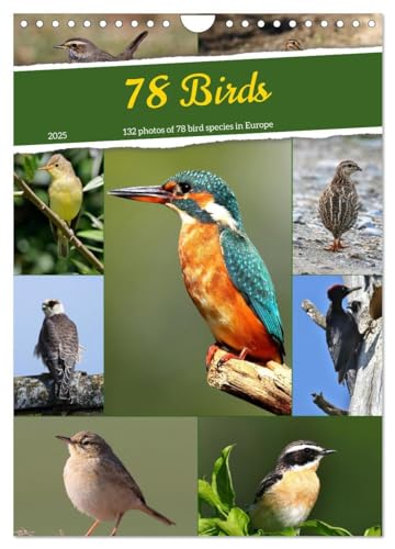 78 Birds (Wall Calendar 2025 DIN A4 portrait), CALVENDO 12 Month Wall Calendar: 132 photos of 78 bird species in Central Europe