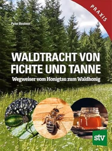 Waldtracht von Fichte und Tanne: Wegweiser vom Honigtau zum Waldhonig Waldtracht von Fichte und Tanne: Wegweiser vom Honigtau zum Waldhonig von STOCKER, L