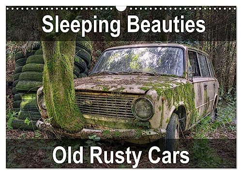 Sleeping Beauties Old Rusty Cars (Wall Calendar 2025 DIN A3 landscape), CALVENDO 12 Month Wall Calendar: Old, rusty, abandoned classic cars von Calvendo