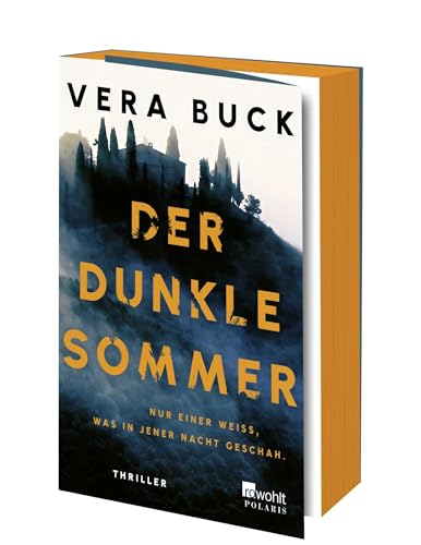 Der dunkle Sommer: Nur einer weiß, was in jener Nacht geschah. | Thriller | Mit limitiertem Farbschnitt in der ersten Auflage Der dunkle Sommer: Nur einer weiß, was in jener Nacht geschah. | Thriller | Mit limitiertem Farbschnitt in der ersten Auflage