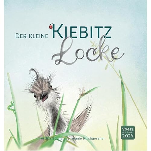 Der kleine Kiebitz Locke Der kleine Kiebitz Locke