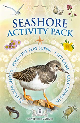 Activity Pack: Seashore: Part of the Activity Pack Nature Series for Children Aged 3 to 8 Years: 0