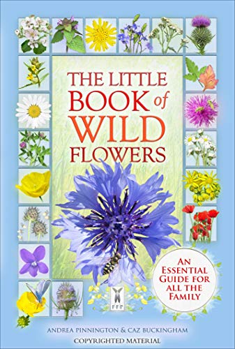 The Little Book Of Wild Flowers: An Essential Guide For All The Family