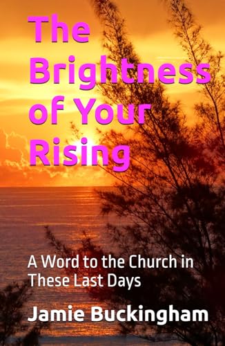 The Brightness of Your Rising: A Word to the Church in These Last Days (Jamie Buckingham Classic Sermon Series) von Independently published