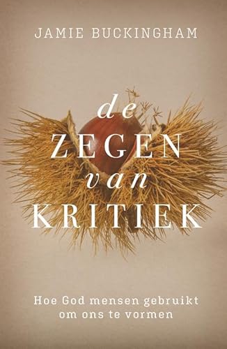 Zegen van kritiek, De: Hoe God mensen gebruikt om ons te vormen von Uitgeverij Gideon