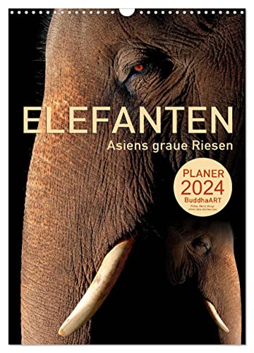ELEFANTEN - Asiens graue Riesen (Wandkalender 2024 DIN A3 hoch), CALVENDO Monatskalender