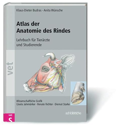 Atlas der Anatomie des Rindes: Paket: Atlas der Anatomie des Rindes und Supplement im Set
