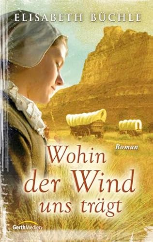 Wohin der Wind uns trägt: Roman