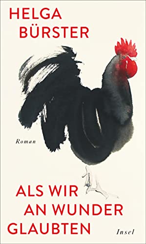 Als wir an Wunder glaubten: Roman