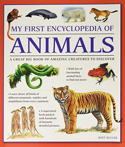 My First Encyclopedia of Animals (giant Size): A First Encyclopedia with Supersize Pictures von Armadillo Music