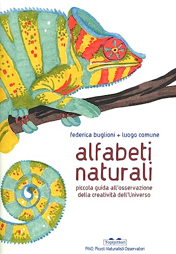 Alfabeti naturali. Piccola guida all'osservazione della creatività dell'universo. Ediz. a colori (PiNO. Piccoli naturalisti osservatori)