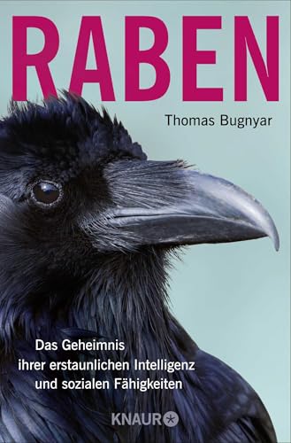 Raben: Das Geheimnis ihrer erstaunlichen Intelligenz und sozialen Fähigkeiten Raben: Das Geheimnis ihrer erstaunlichen Intelligenz und sozialen Fähigkeiten
