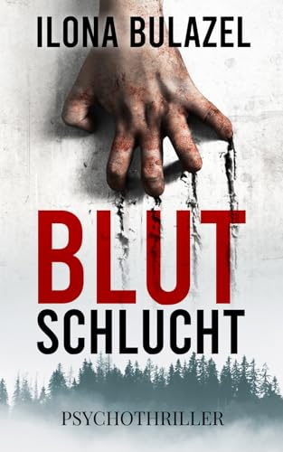 Blutschlucht: Psychothriller