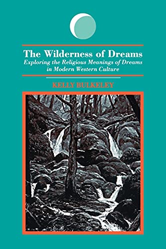 The Wilderness of Dreams: Exploring the Religious Meanings of Dreams in Modern Western Culture (S U N Y Series in Dream Studies) von State University of New York Press