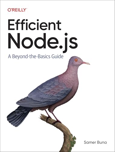 Efficient Node.Js: A Beyond-The-Basics Guide von O'Reilly Media
